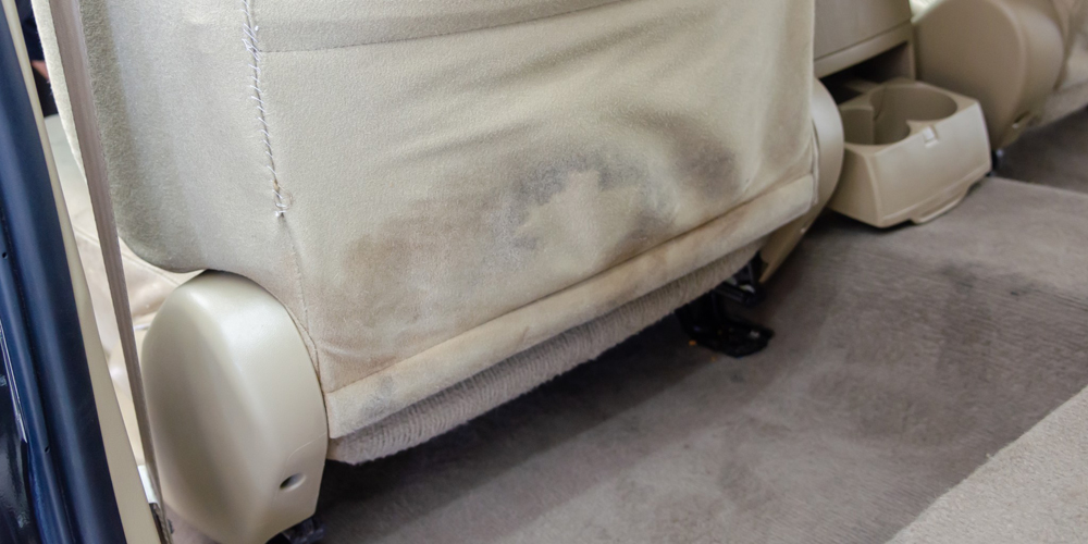 How to Eradicate Mold in Your Car's Interior - GrandPrixTimes